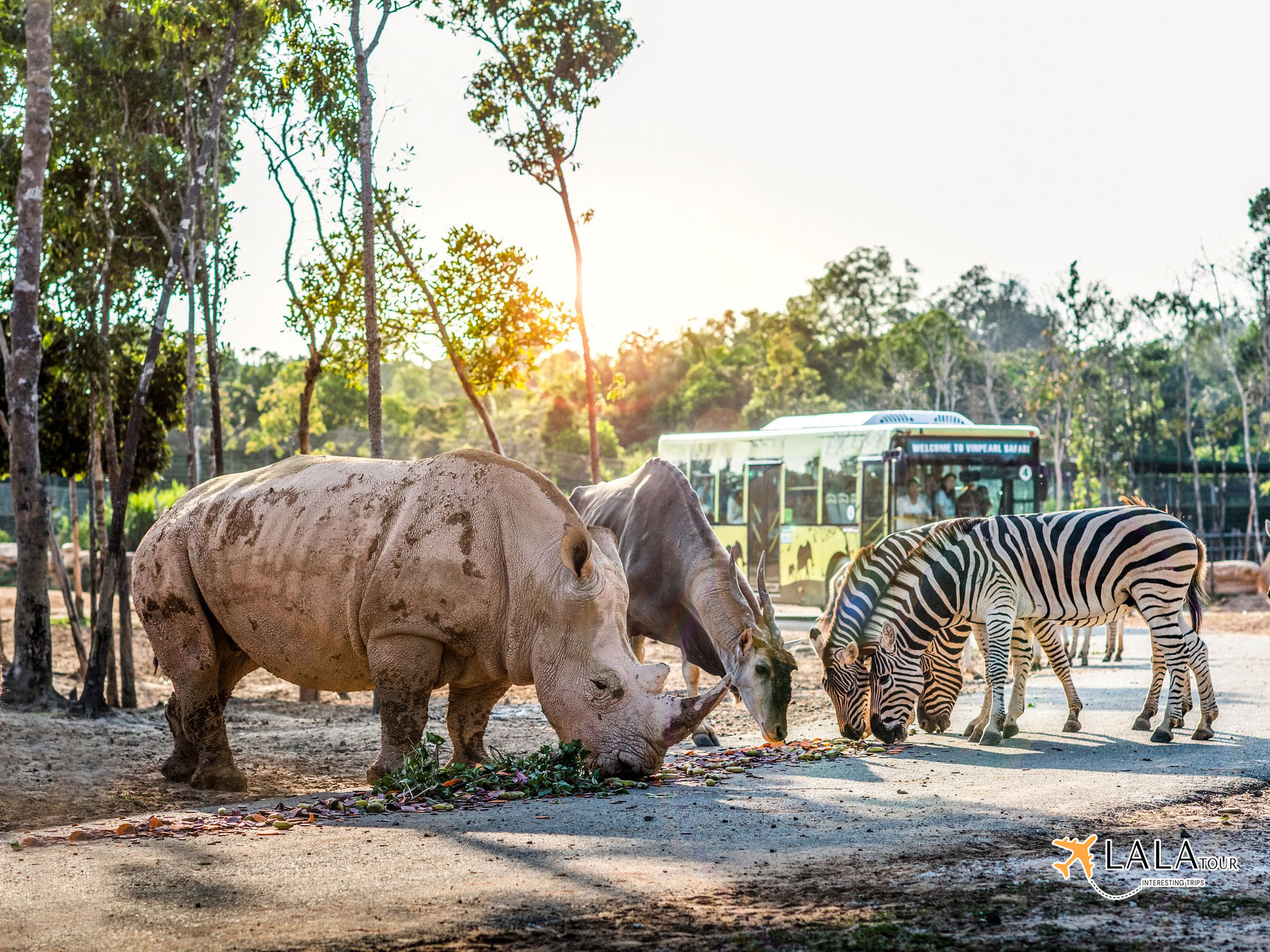 safari phu quoc