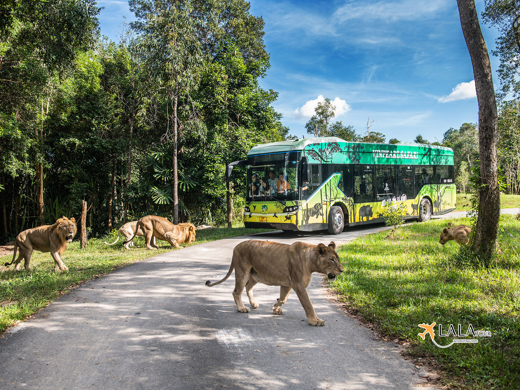 safari phu quoc