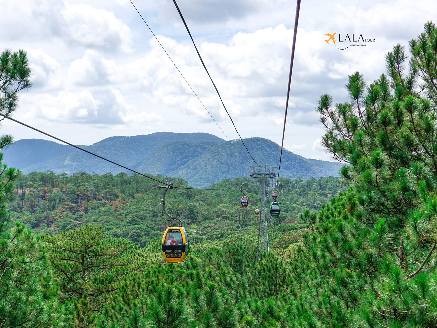 car cable Tuyen lam da lat