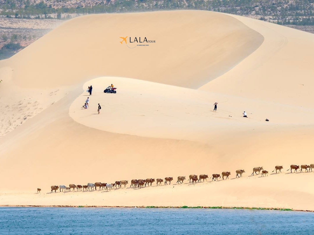 White-Sand-Dune-Mui-Ne-Binh-Thua